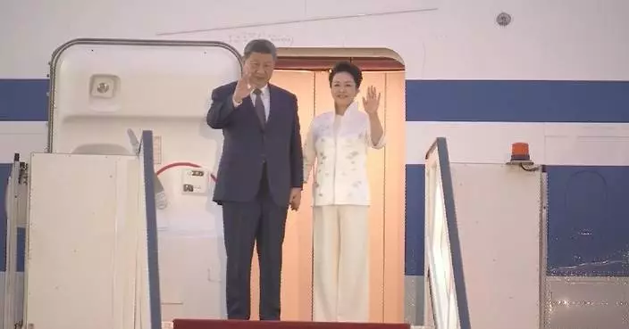 Xi arrives in Cairo for state visit to Egypt