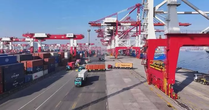 China-Egypt trade grows 23.2 pct in Jan-July period