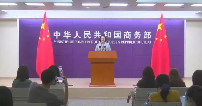 China rejects U.S. push for "economic imbalance" rhetorics at G20