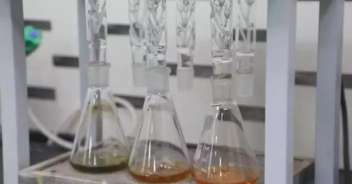 China pioneers large-scale conversion of waste cooking oil into sustainable aviation fuel