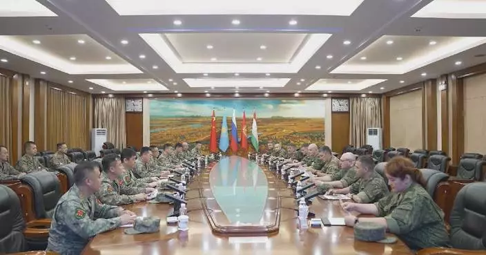 China completes border disarmament inspections with four neighboring countries
