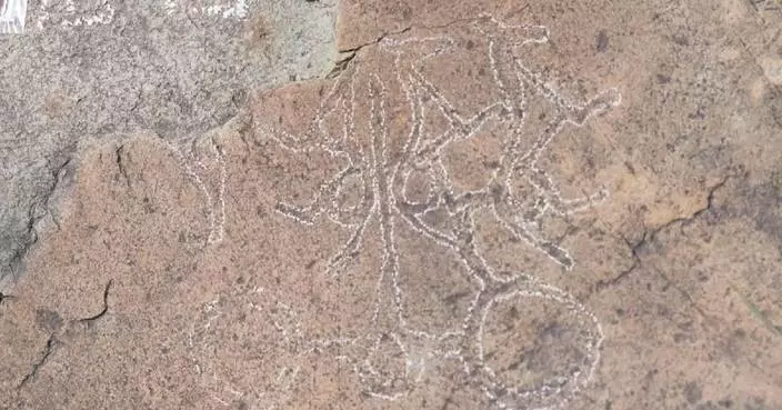 Rare four-horse chariot rock carving discovered in northwest China