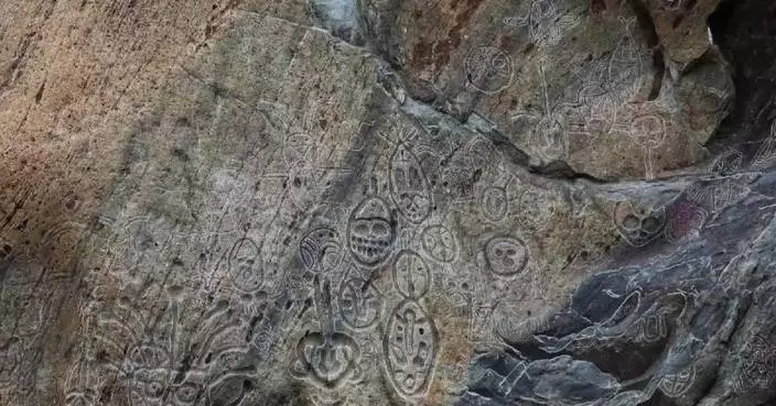 Latest survey discovers over 500 new rock carvings in Ningxia's mountain area