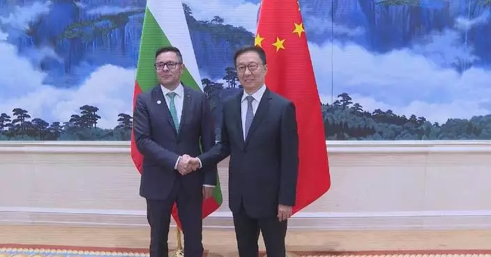 Chinese vice president meets Bulgarian deputy prime minister