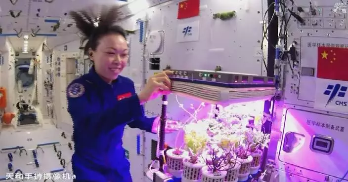 Shenzhou-23 crew livestream space vegetable garden to HK, Macao students