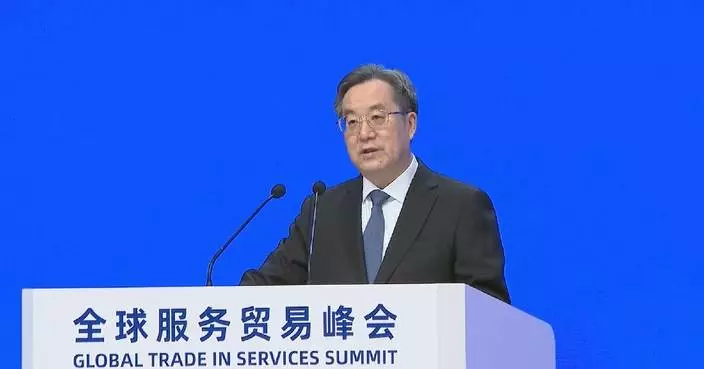 Chinese vice premier addresses Global Trade in Services Summit, meets int'l dignitaries