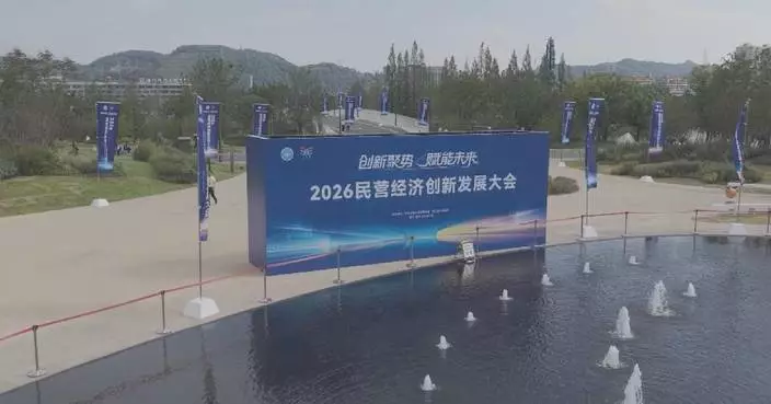 China's top private firms in R and D investment see steady rise in innovation spending