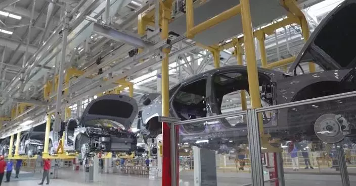 China's NEV share of new car sales hits record high in August