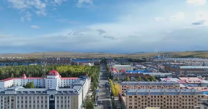 China's northernmost city starts heating season early amid falling temperature