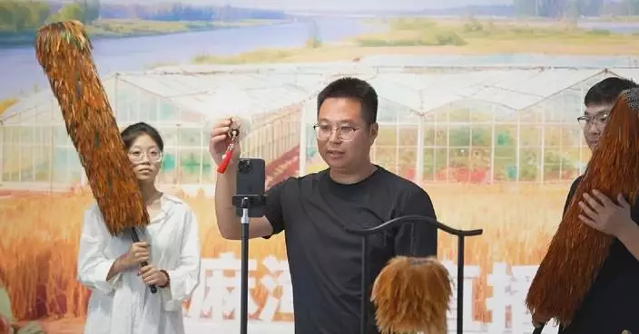 Chinese village turns traditional feather duster craft into online hit