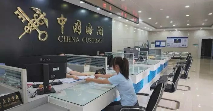 1st batch of foreign trade cargo via China's Pinglu Canal completes customs clearance