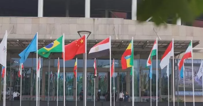 Political figures, experts praise Xi’s vision for BRICS future