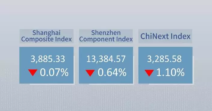 Chinese shares close lower on Monday