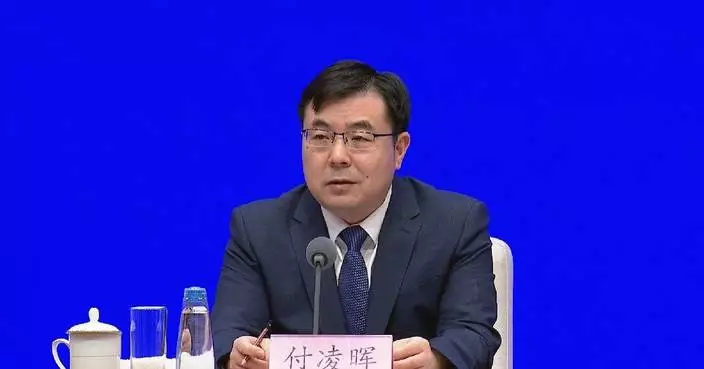 China's emerging sectors, foreign trade log growth in August: spokesman