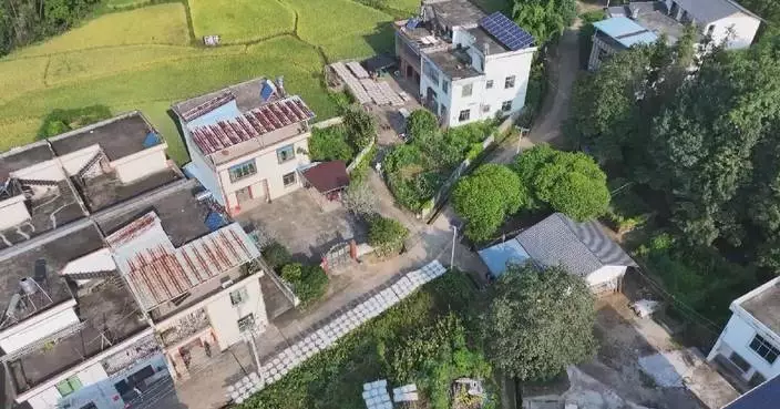 Living, production conditions in China's rural areas continuously improved