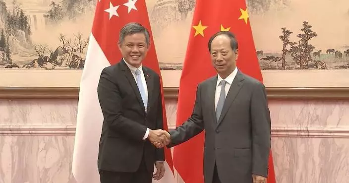 Senior CPC official meets with Singapore's coordinating minister for public services