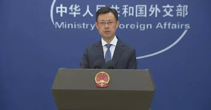 Protectionism destroys EU opportunities for digital transformation: spokesman