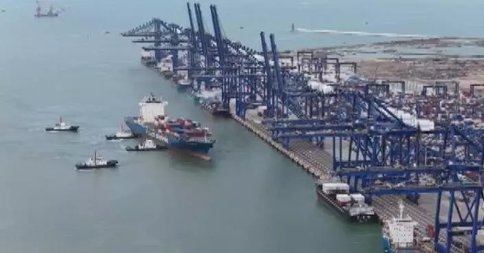 Pinglu Canal underscores growing role of Yangpu Port as int'l shipping hub