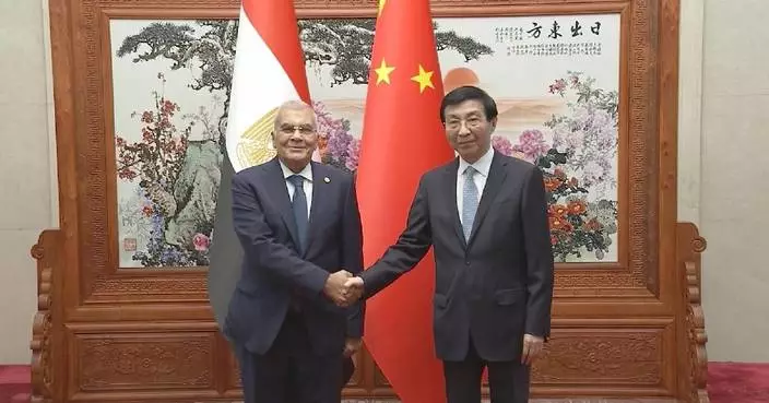 China's top political advisor meets Egyptian Senate speaker