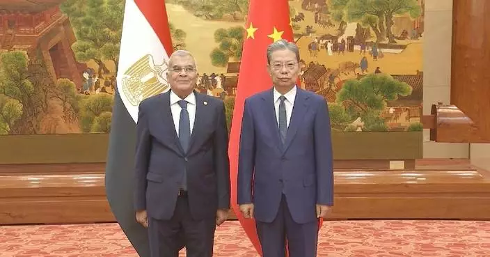 China's top legislator meets Egypt's Senate speaker