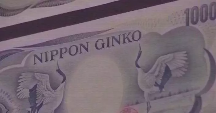 Inflation risks drive BOJ's rate hike: experts
