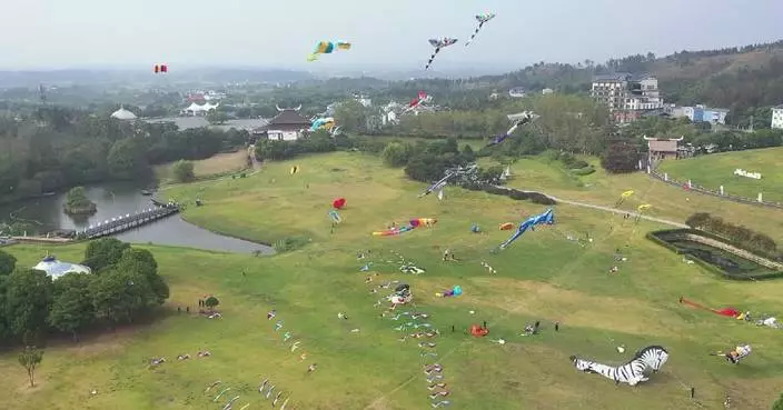 Central China's Wuhan hosts world-class kite event