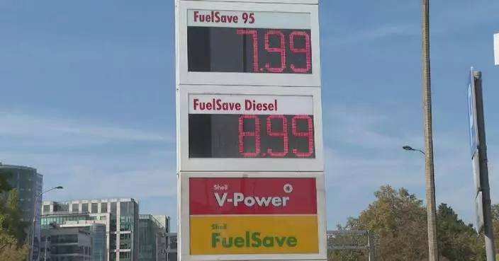 Polish transport companies topple amid surge in oil prices