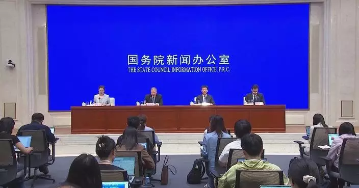 China's grain market remains stable despite El Nino, geopolitical conflicts: official