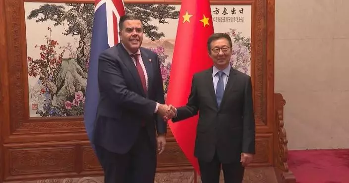 Chinese vice president meets Australia's House of Representatives speaker on ties