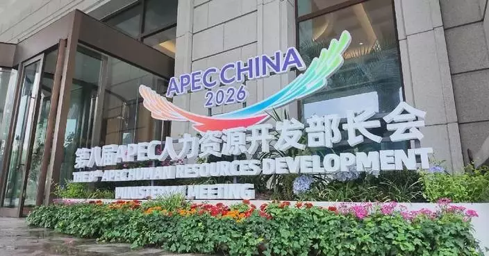 APEC official urges AI benefits be shared by all
