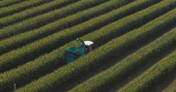 China to strictly control arable land use with integrated protection: official