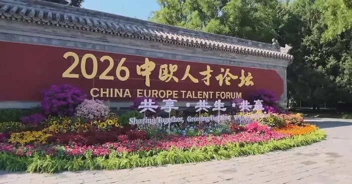 China-Europe Talent Forum urges cooperation on workforce upskilling in AI era