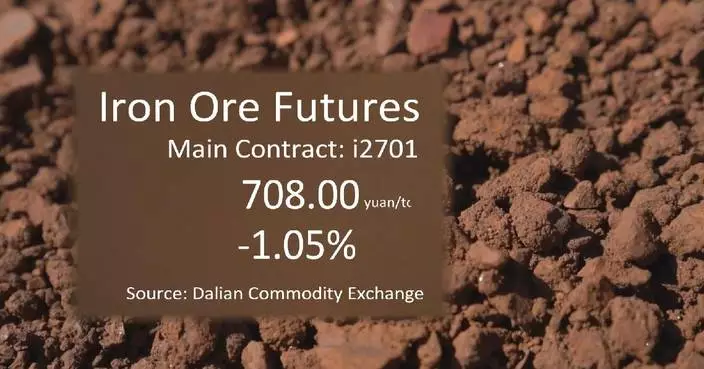 China's iron ore futures finish lower Tuesday