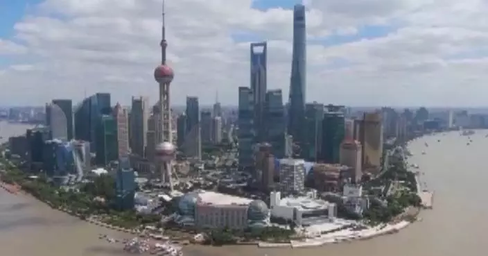 China's panda bond issuance hits over 200 billion yuan in Jan-Aug