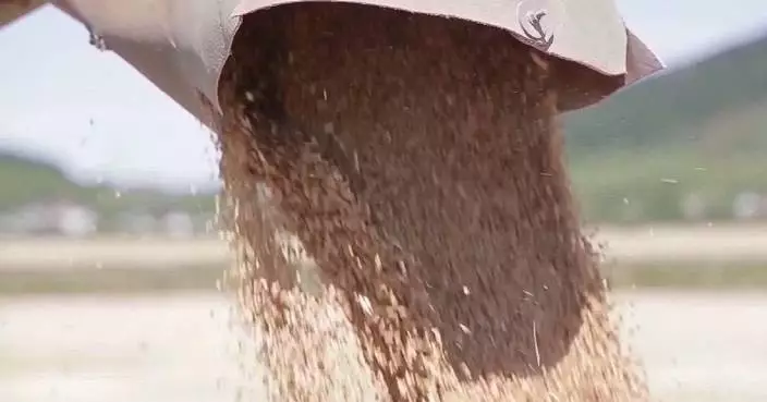 Ukraine suspends grain exports via Black Sea ports: minister