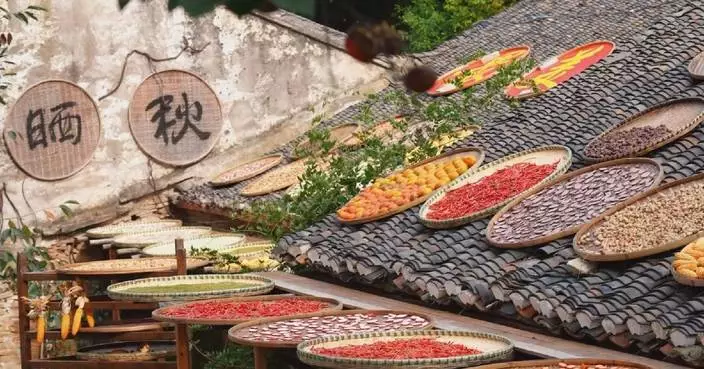 Ancient Hubei village turns harvest tradition into global tourism draw
