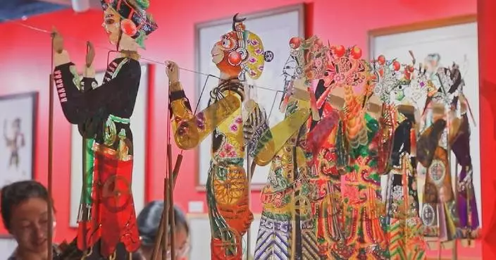 Interactive bazaar at 48th WorldSkills Competition in Shanghai showcases traditional Chinese crafts