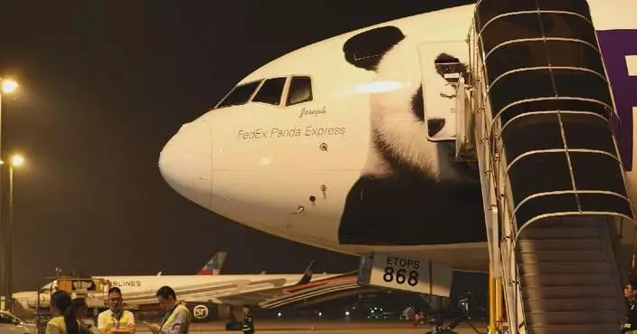 Two giant pandas set off from Chengdu for 10-year stay at Zoo Atlanta