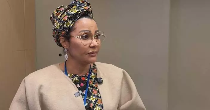 Participants hail GDI achievements at fifth-anniversary dialogue