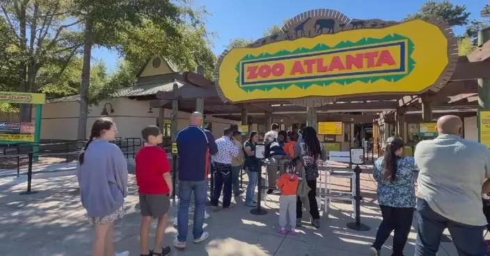 Visitors flock to Zoo Atlanta to welcome giant pandas Ping Ping, Fu Shuang