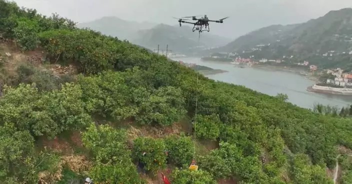 Drone piloting becomes sought-after profession among China's rural youth