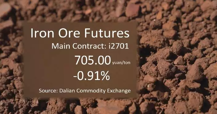 China's iron ore futures finish lower Monday