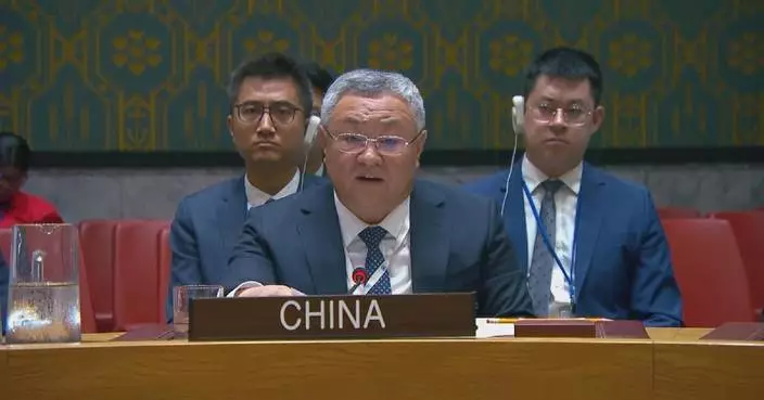 China calls for persistent endeavor in solving Palestinian question
