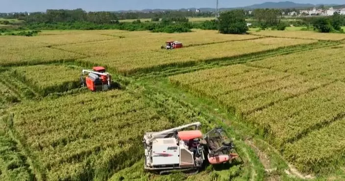 China to drive agricultural modernization through tech innovation, institutional reform: ministry