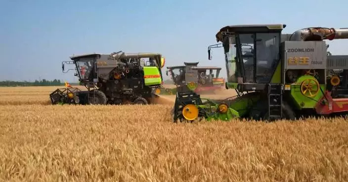 China to step up agricultural modernization in next 5 years: minister