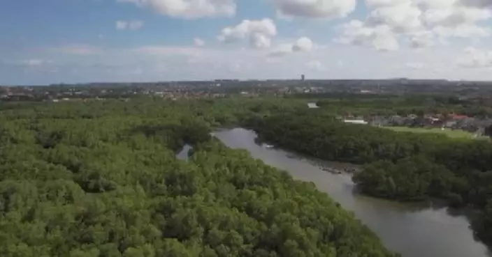 FAO report urges large-scale forest, landscape restoration to boost food security