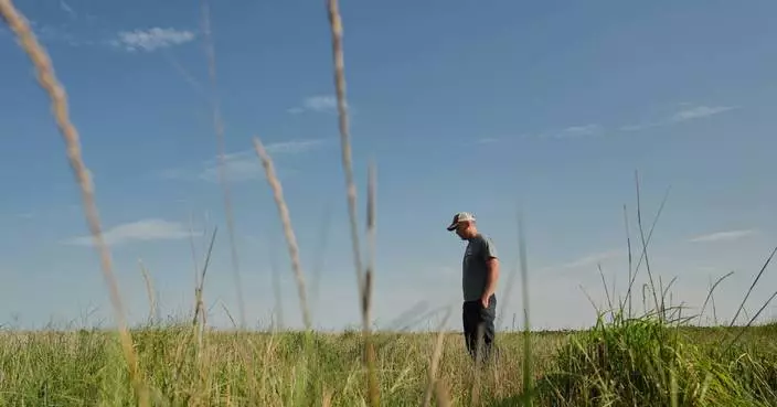 Farmers turn to perennial grains as one solution to extreme weather