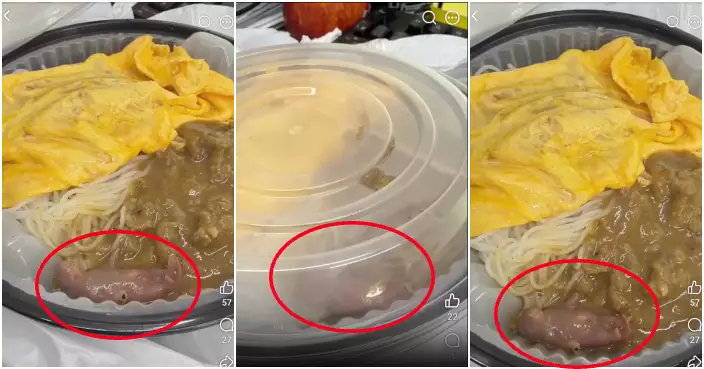 Live Baby Rat Found in Hong Kong Takeaway; Cafe Owner Baffled, Hopes to Contact Customer