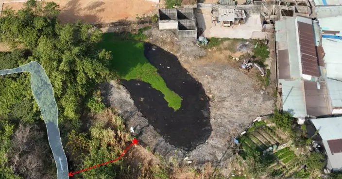 Pig Farm Owner Convicted of Illegal Livestock Waste Discharge into Yuen Long's Watercourse