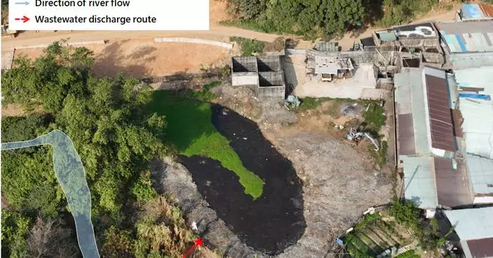 Pig Farm Owner Fined for Repeat Illegal Waste Discharge into Yuen Long Watercourse